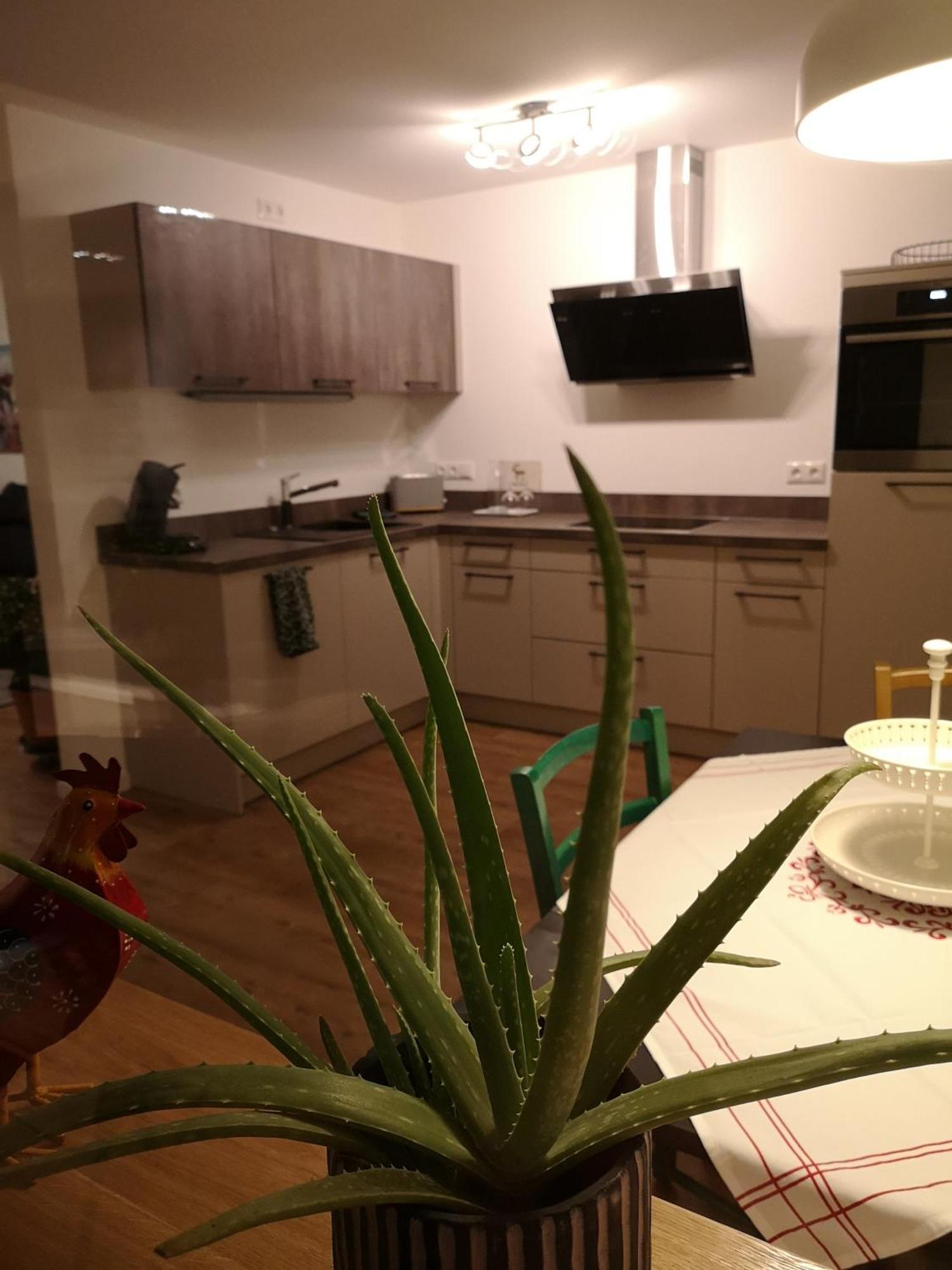 Inntalblick Nußdorf am Inn Rum bild